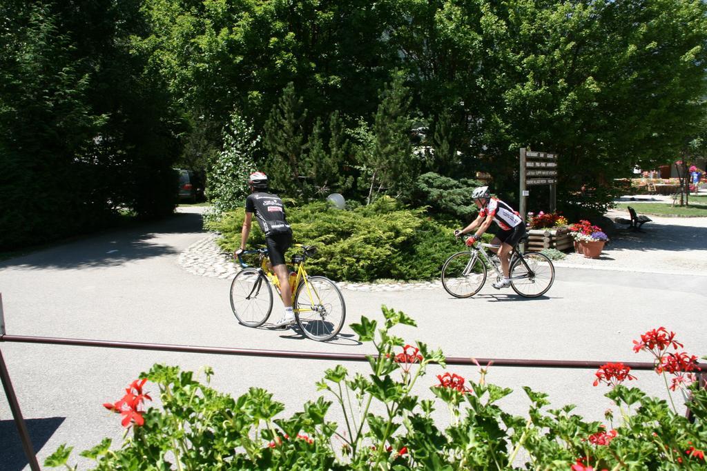 Camping Le Colporteur Hotel Le Bourg-dʼOisans Екстериор снимка
